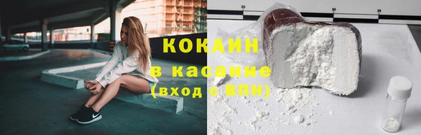 сатива Козельск