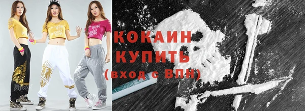 сатива Козельск