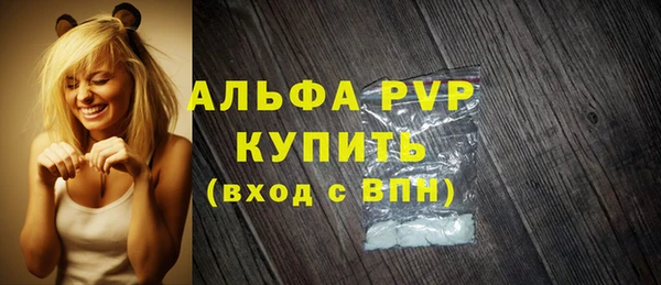 сатива Козельск