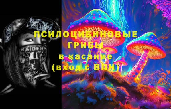 МДПВ Козловка