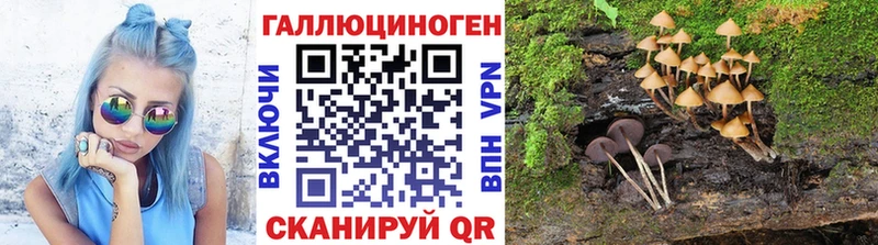 Купить  Малоархангельск  Галлюциногенные грибы ЛСД 